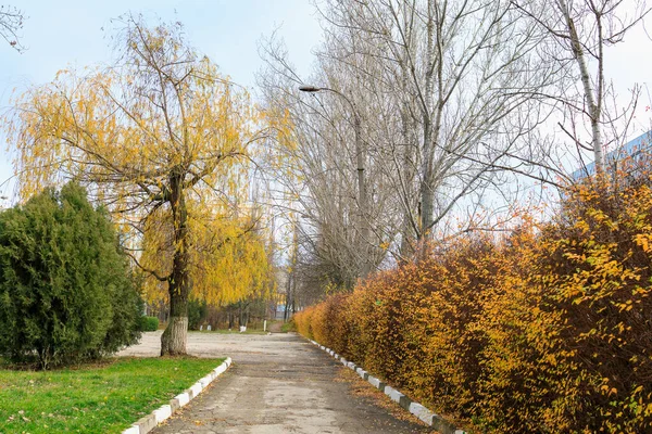 Hava tahminleri için seçici odak ve metin için kopyalama alanı ile soyut sonbahar mevsimsel arkaplanı