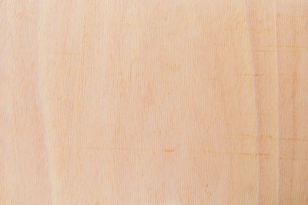 非洲树的浅色粗糙的纹理切割表面 木制背景或用于设计的空白 文字或标签的图形资源或基础 — 图库照片