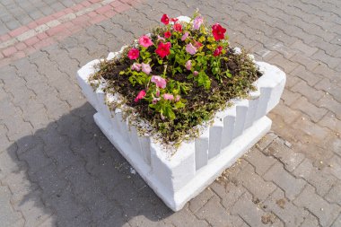 Şehir ortamında çiçek tarhı ya da çiçek bahçesi. Şehri yeşillendiriyor. Seçici odak ve kopyalama alanı olan arkaplan