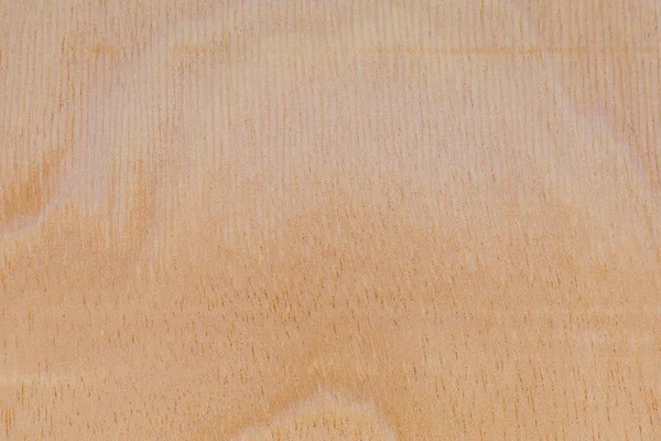 Ελαφριά Τραχιά Επιφάνεια Κοπής Αφρικανικού Δέντρου Ξύλο Φόντο Κενό Για — Φωτογραφία Αρχείου