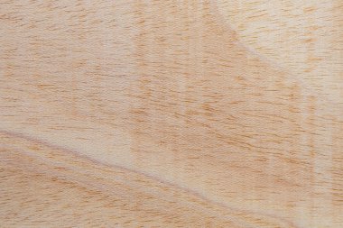 Afrika 'daki bir ağacın açık dokulu kesik yüzeyi. Ahşap zemin ya da tasarım için boş. Metin veya etiketler için bir grafik kaynağı ya da altında yatan.