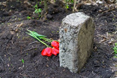 Hayvan mezarlığındaki mezar taşı olarak beton blok seçici bir odak noktası. Arkaplan