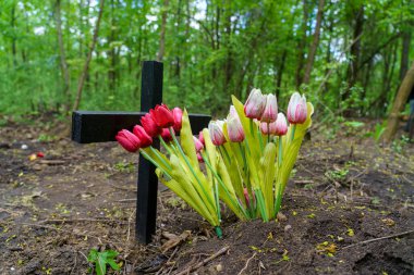 Hayvan mezarlığında tahta haç, seçici odaklanma. Arkaplan
