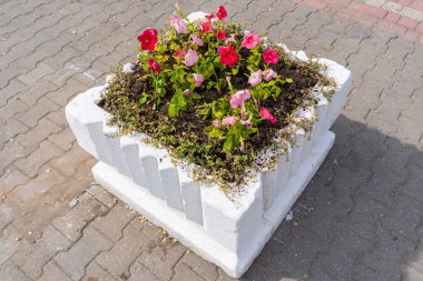 Şehir ortamında çiçek tarhı ya da çiçek bahçesi. Şehri yeşillendiriyor. Seçici odak ve kopyalama alanı olan arkaplan