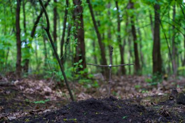 Doğaçlama sopalardan ya da hayvan mezarlığındaki dallardan yapılmış ev yapımı haç seçici bir odak noktası. Kopyalama alanı olan arkaplan