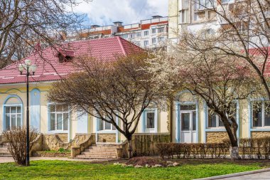 İlkbaharda, seçici bir odak ile kentsel bir ortamda çiçek açan meyve ağaçları. Bahar arkaplanı