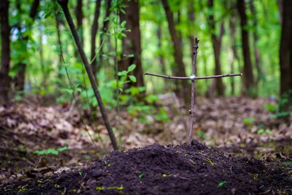 stock image Improvised homemade cross from improvised sticks or branches in a pet cemetery, selective focus. Background with copy space