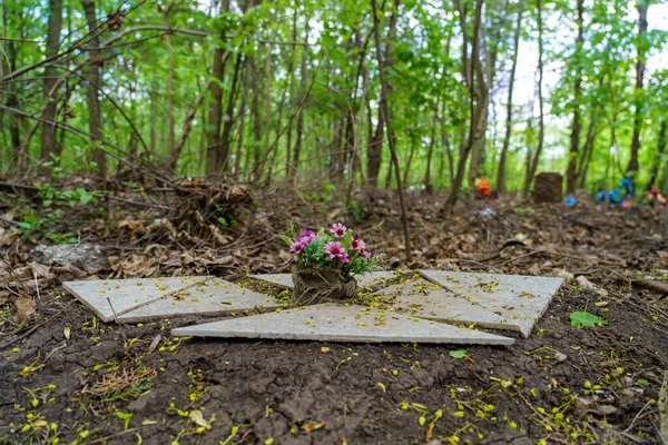 Improvisiertes Grab Auf Dem Tierfriedhof Selektiver Fokus Hintergrund Mit Kopierraum — Stockfoto