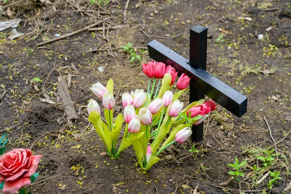 Dřevěný Kříž Hřbitově Domácích Mazlíčků Selektivní Zaměření Pozadí — Stock fotografie