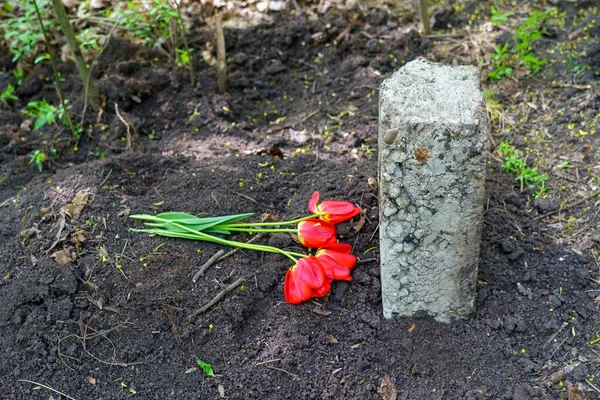 Hayvan Mezarlığındaki Mezar Taşı Olarak Beton Blok Seçici Bir Odak — Stok fotoğraf