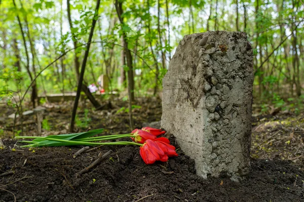 Bloco Concreto Como Uma Lápide Cemitério Animais Estimação Foco Seletivo — Fotografia de Stock