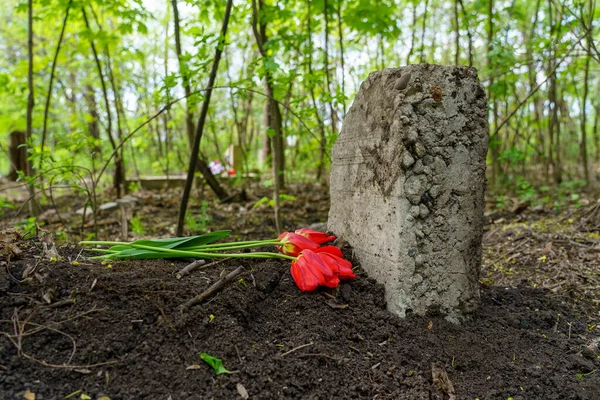 Betonklotz Als Grabstein Auf Einem Tierfriedhof Selektiver Fokus Hintergrund — Stockfoto