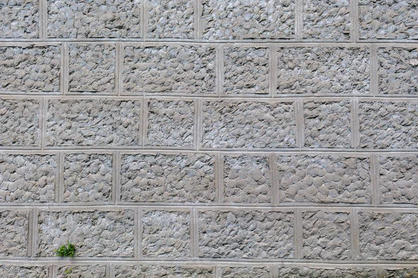 Штукатурка Имитирует Природный Камень Грубая Текстурированная Поверхность Стены Фон Фон — стоковое фото