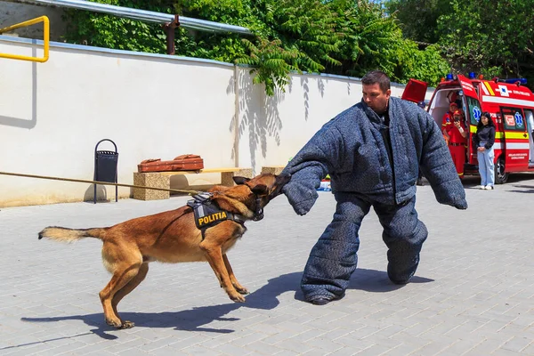May 2022 Balti Moldova Illustrative Editorial Background Police Officers Dog — Stock Photo, Image