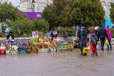 8 Mart 2022 Beltsy, Moldova. Uluslararası Kadınlar Günü 'nde şehir fuarında sokak çiçeği ticareti. İllüstrasyon Editörü.