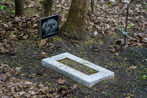 Abril 2023 Beltsy Moldávia Para Uso Editorial Ilustrativo Cemitério Animais — Fotografia de Stock