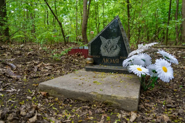 Dubna 2023 Beltsy Moldavsko Pro Ilustrativní Redakční Použití Zvířecí Hřbitov — Stock fotografie