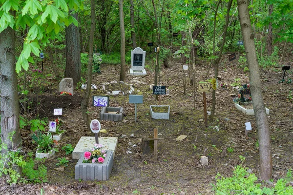 April 2023 Beltsy Moldova Illustrative Editorial Use Pet Cemetery Background — Stock Photo, Image
