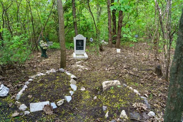 April 2023 Beltsy Moldawien Zur Illustrativen Redaktionellen Verwendung Tierfriedhof Hintergrund — Stockfoto