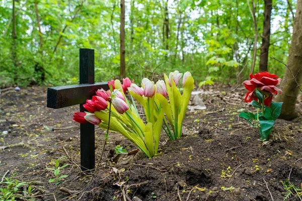 Dřevěný Kříž Hřbitově Domácích Mazlíčků Selektivní Zaměření Pozadí — Stock fotografie