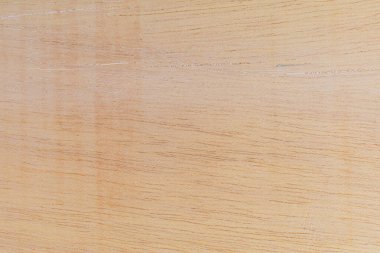 Afrika 'daki bir ağacın açık dokulu kesik yüzeyi. Ahşap zemin ya da tasarım için boş. Metin veya etiketler için bir grafik kaynağı ya da altında yatan.