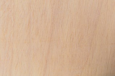 Afrika 'daki bir ağacın açık dokulu kesik yüzeyi. Ahşap zemin ya da tasarım için boş. Metin veya etiketler için bir grafik kaynağı ya da altında yatan.