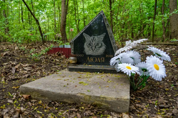 Abril 2023 Beltsy Moldávia Para Uso Editorial Ilustrativo Cemitério Animais — Fotografia de Stock