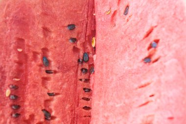 Dilimlenmiş karpuz, yürüyüşe çıkmış yemek ya da kamp. Seçici odak ve kopyalama alanı olan arkaplan