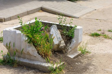 Vandalizmin bir örneği, yok edilmiş bir çiçek tarlası. Kopyalama alanı olan arkaplan