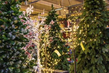 29 Kasım 2022 Beltsy, Moldova. Resimli editör kullanımı için. Kış yeni yıl tatili için dekoratif Noel ağacı