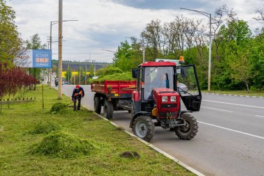 12 Mayıs 2023 Beltsy, Moldova. Resimli editör kullanımı için. Bahçe düzenleyicileri çimleri temizliyor