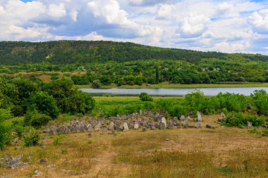 30 Temmuz 2023 Vadul Rascov Moldova. Mezar taşları olan terk edilmiş eski bir Yahudi mezarlığının kalıntıları..