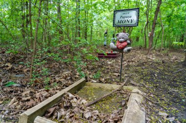 28 Nisan 2023 Beltsy, Moldova. Resimli editör kullanımı için. Hayvan mezarlığı. Kopyalama alanı olan arkaplan