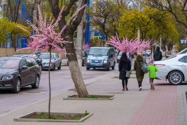 17 Nisan 2022 Beltsy, Moldova. Resimli editör kullanımı için. Şehirde ilkbahar