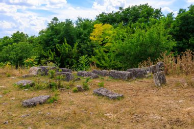 30 Temmuz 2023 Vadul Rascov Moldova. Mezar taşları olan terk edilmiş eski bir Yahudi mezarlığının kalıntıları..