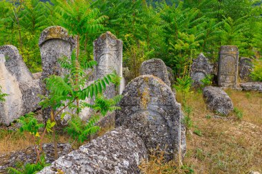 30 Temmuz 2023 Vadul Rascov Moldova. Mezar taşları olan terk edilmiş eski bir Yahudi mezarlığının kalıntıları..
