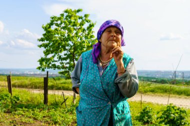 23 Mayıs 2023 Dobruja köyü, Singerei bölgesi, Moldova. Resimli editör kullanımı için. Köydeki bir büyükanne çiftçilerin hayatından bahsediyor.