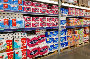 11 Ekim 2023 Beltsy, Moldova. Resimli editör kullanımı için. Kağıt havlu ve tuvalet kağıdı.