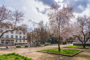 26 Mart 2023 Beltsy, Moldova. Resimli editör kullanımı için. Şehirde ilkbahar.