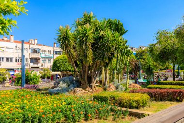 6 Ağustos 2023 Marmaris Turkey. Resimli editör kullanımı için. Şehir dekoratif bahçesi