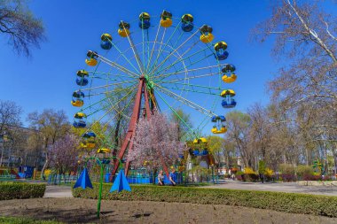 15 Nisan 2022 Beltsy, Moldova. Resimli editör kullanımı için. Belediye eğlence parkında atlı karıncalar