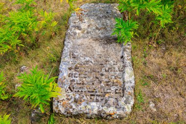 30 Temmuz 2023 Vadul Rascov Moldova. Mezar taşları olan terk edilmiş eski bir Yahudi mezarlığının kalıntıları..