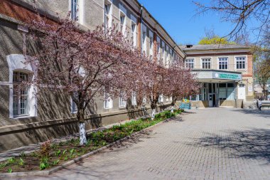 15 Nisan 2022 Beltsy, Moldova. Resimli editör kullanımı için. Şehirde ilkbahar