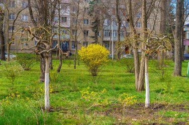 26 Mart 2023 Beltsy, Moldova. Resimli editör kullanımı için. Şehirde ilkbahar.