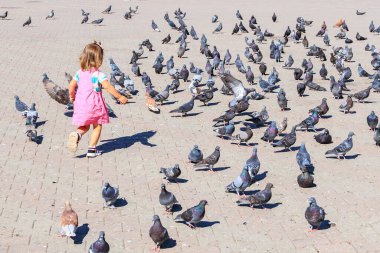 11 Eylül 2023 Balti Moldova. Bir çocuk güvercin kovalıyor. Seçici odak ve kopyalama alanı olan arkaplan