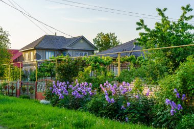 23 Mayıs 2023 Dobruja köyü, Singerei bölgesi, Moldova. Resimli editör kullanımı için. Kır evi