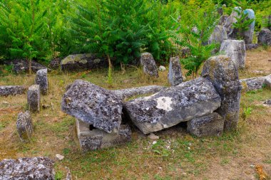 Vadul-Rashkov Moldova köyündeki terk edilmiş Yahudi mezarlığı. Seçici odak ve kopyalama alanı olan arkaplan