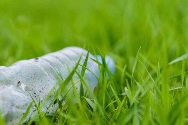 Doğadaki çöpler. Seçici odaklı arkaplan ve metin için alanı kopyala.