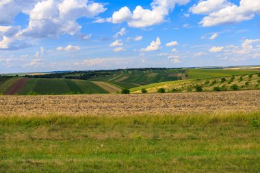 Avrupa 'nın bereketli toprakları. Seçici odak ve kopyalama alanı olan arkaplan