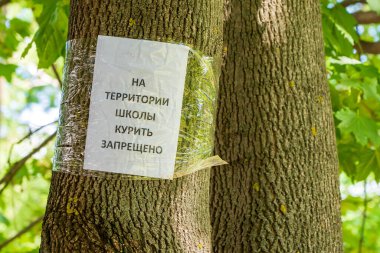 Okulun bölgesinde Rusça 'da sigara içilmesi yasaklanmıştır. Seçici odaklı arkaplan ve metin için alanı kopyala